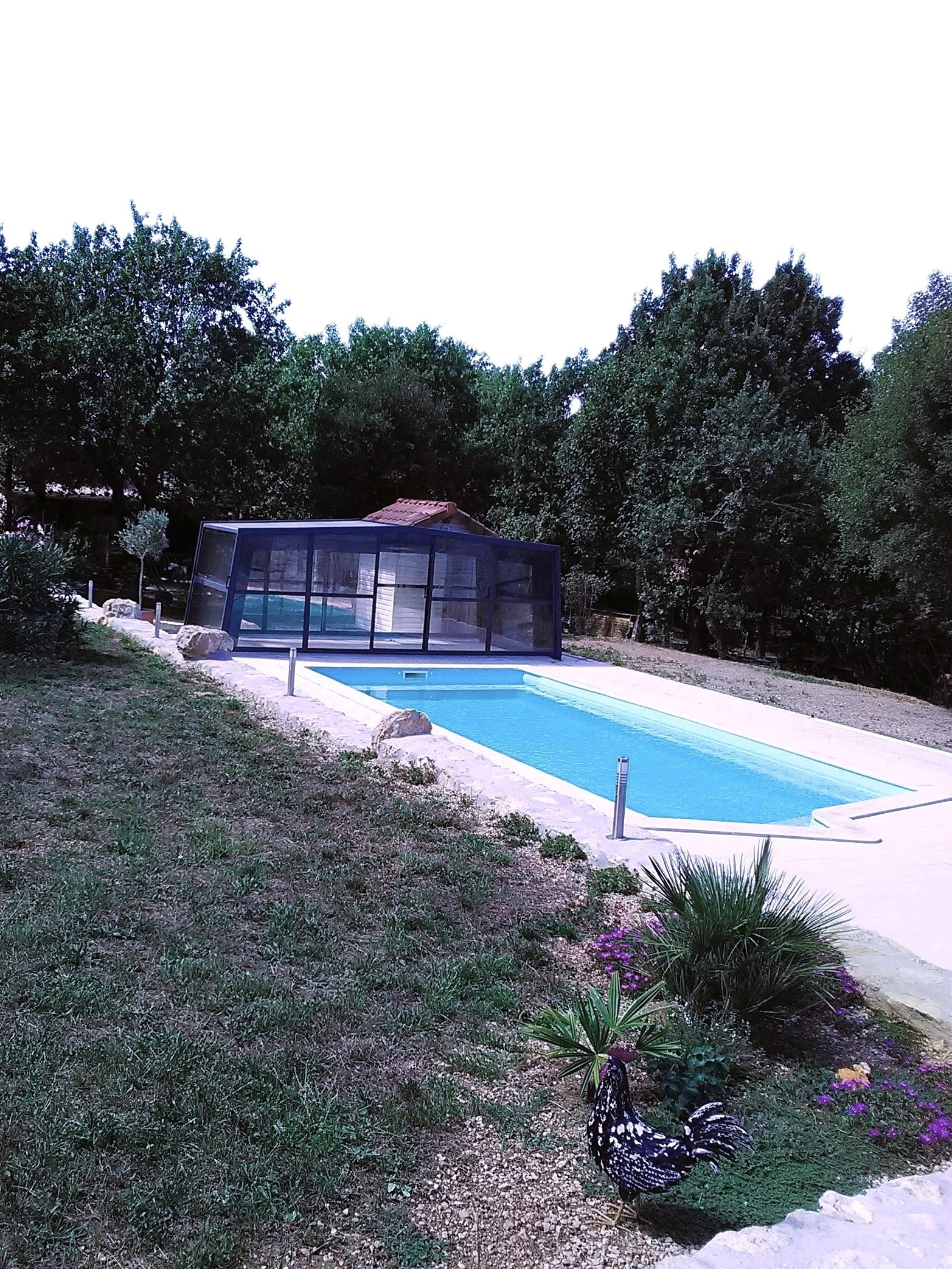 Vue d’ensemble de la piscine du gîte naturiste DACANIRO avec l’abri replié, son environnement