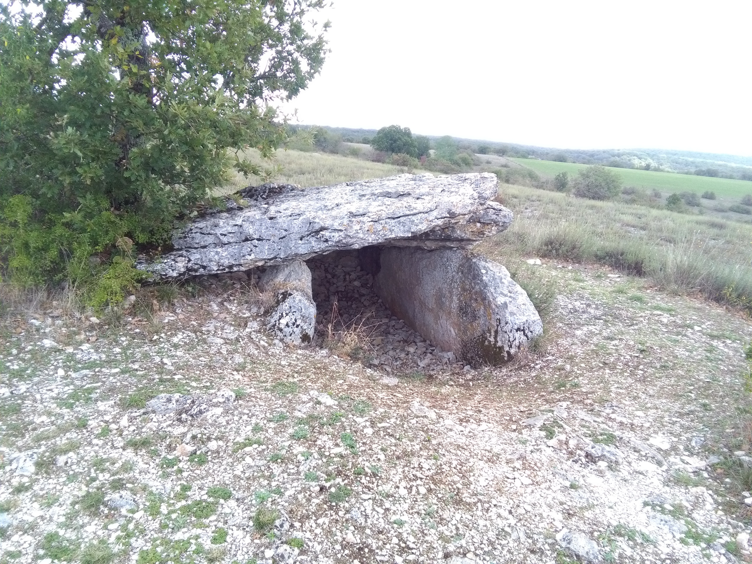Dolmen en pierre situé dans les environs du domaine DACANIRO